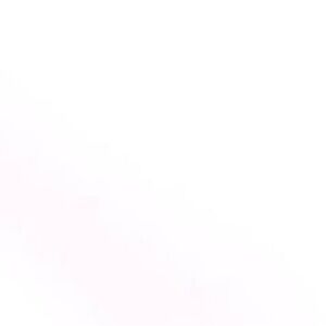 Women’s clothing lot